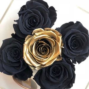 Meet your Posher, Tee